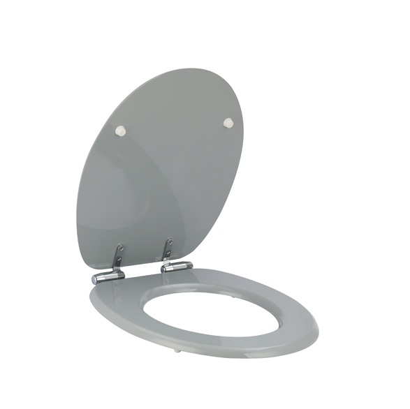 toilet round seat