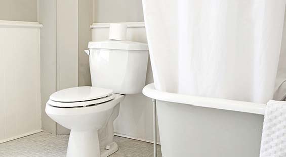 Can You Replace The Soft Close Toilet Seat Hinges On A Toilet Seat?