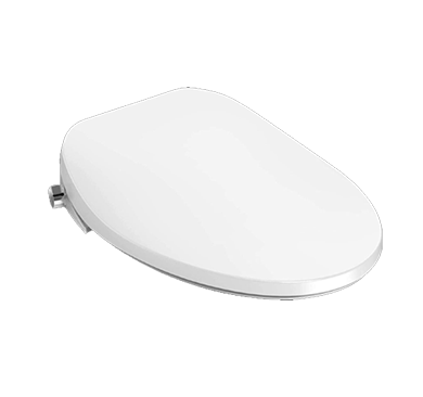 Self-Cleaning Bidet Toilet Seat