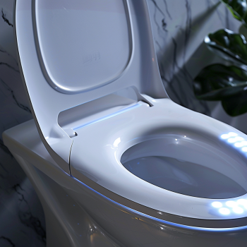 smart wash toilet seat