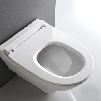 d shaped toilet seat