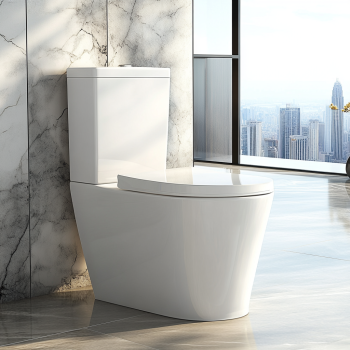 d_shape_soft_close_toilet_seat7.webp