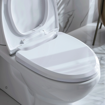 deliayql_product_pic_of_d_shape_2_in_1_toilet_seat_4a38b3e8-afe9-4a83-b32f-2d9188a9536a.webp